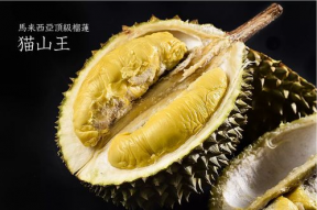 猫山王,猫山王榴莲的独特魅力