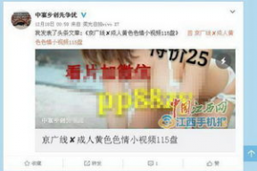 成人小视频网站,暗流涌动的网络世界