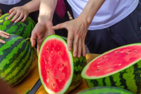 河南技术学院吃瓜爆料,揭秘校园风云事件