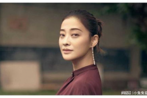 梅婷 电视剧,电视剧中的情感演绎者