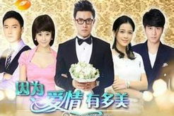 因为爱情有多美电视剧免费观看,重温经典爱情故事，共赴浪漫之旅