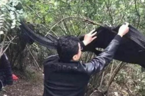 小树林卖淫视频,揭秘小树林卖淫视频的黑色秘密